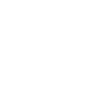 icon phone b