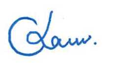 Auditor's signature